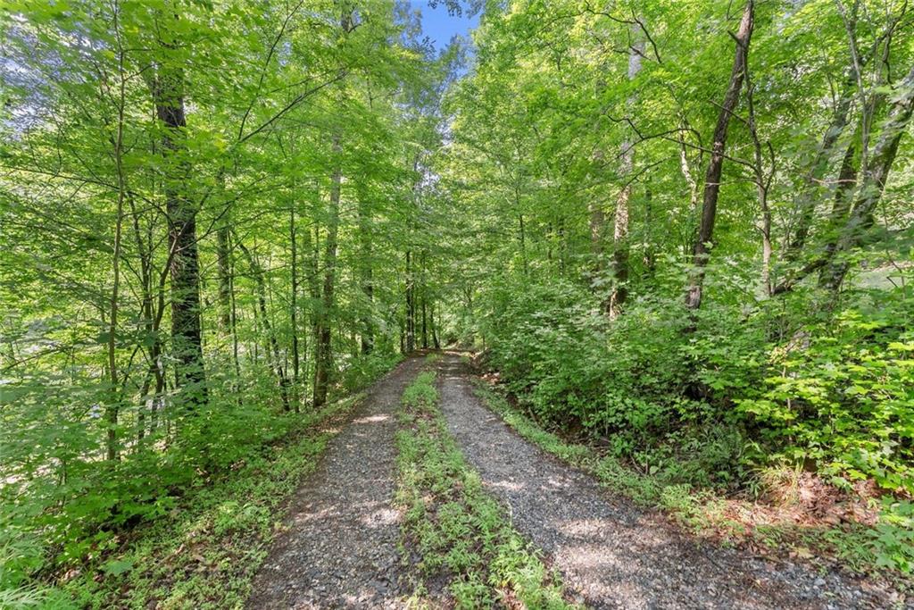 0 Long Branch Road Dahlonega GA 30533