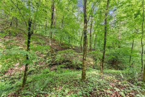 0 Long Branch Road Dahlonega GA 30533
