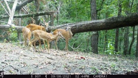 0 Long Branch Road Dahlonega GA 30533