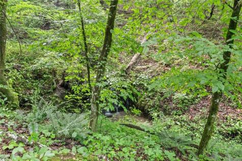 0 Long Branch Road Dahlonega GA 30533