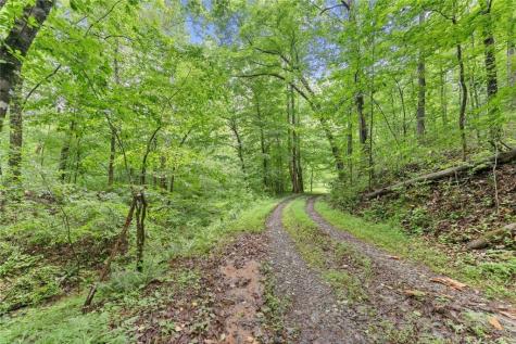 0 Long Branch Road Dahlonega GA 30533