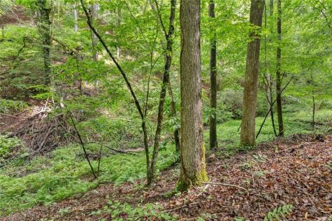 0 Long Branch Road Dahlonega GA 30533