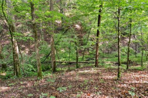 0 Long Branch Road Dahlonega GA 30533