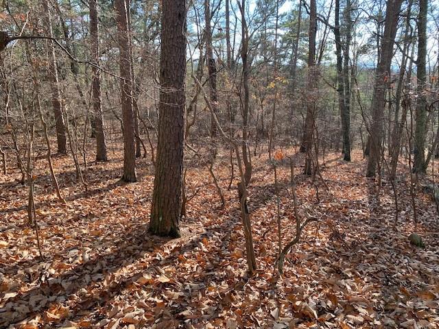 0 Quail Way Jasper GA 30143