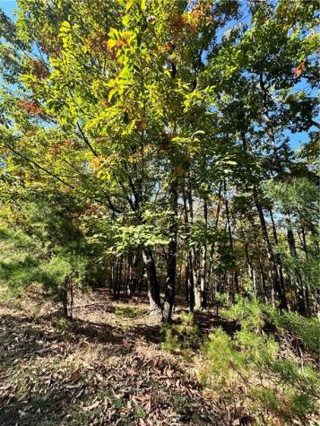 0 Vista View Parkway Jasper GA 30143