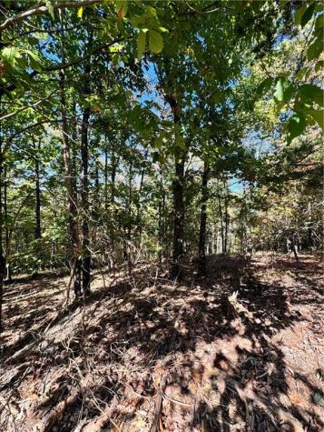 0 Vista View Parkway Jasper GA 30143