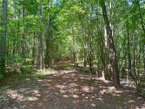40 Patriot View Drive Dahlonega GA 30533