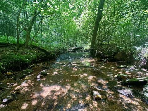 40 Patriot View Drive Dahlonega GA 30533