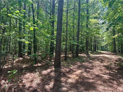 40 Patriot View Drive Dahlonega GA 30533