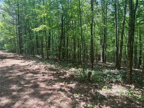 40 Patriot View Drive Dahlonega GA 30533