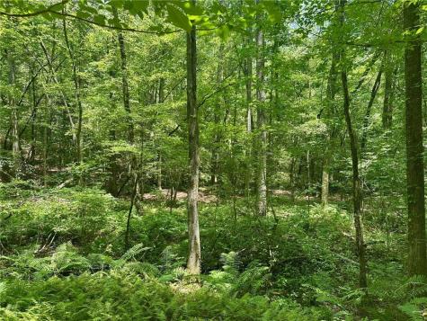 40 Patriot View Drive Dahlonega GA 30533