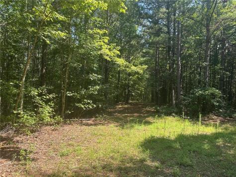40 Patriot View Drive Dahlonega GA 30533