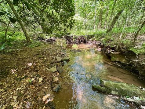 40 Patriot View Drive Dahlonega GA 30533