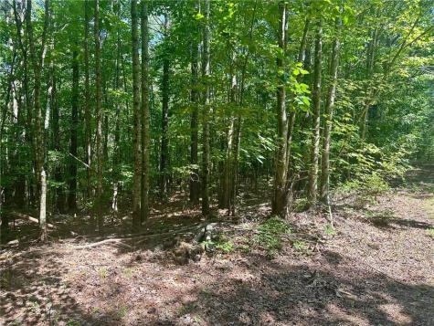 40 Patriot View Drive Dahlonega GA 30533