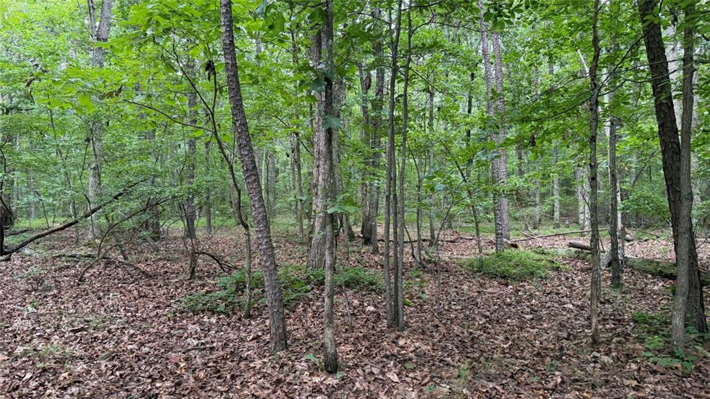 0 Dublin Circle Kingston GA 30145