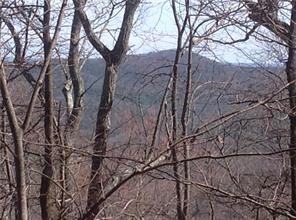 8112 Disharoon Drive Big Canoe GA 30143