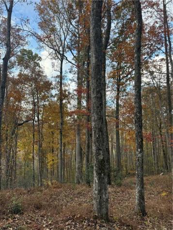 306 Northside Mountain Road Suches GA 30572