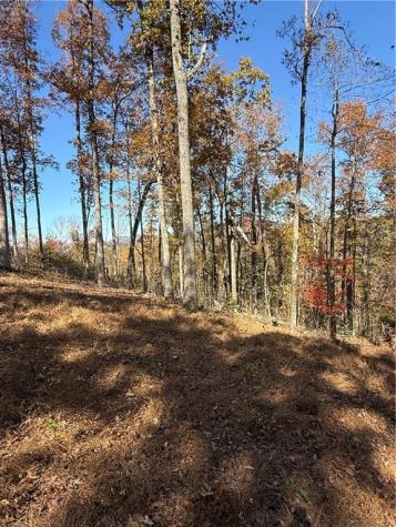 306 Northside Mountain Road Suches GA 30572
