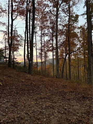 306 Northside Mountain Road Suches GA 30572