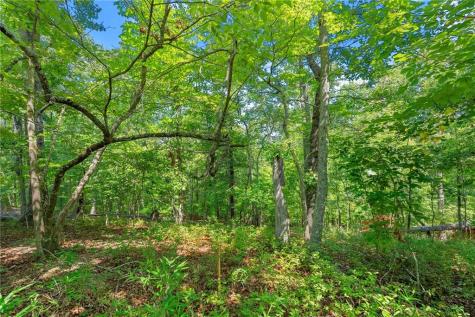 0 Flat Rock Point Dahlonega GA 30533