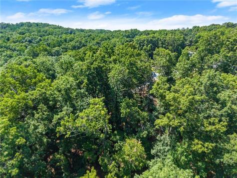 0 Flat Rock Point Dahlonega GA 30533