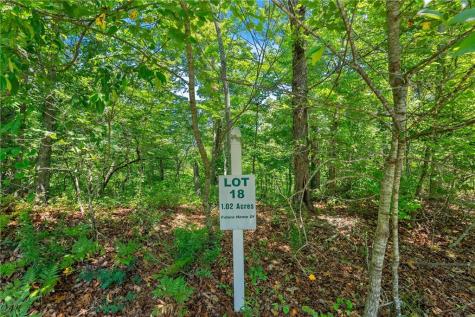 0 Flat Rock Point Dahlonega GA 30533