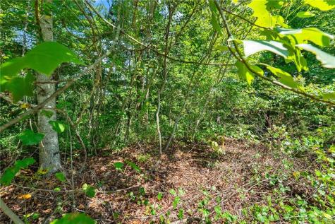 0 Flat Rock Point Dahlonega GA 30533