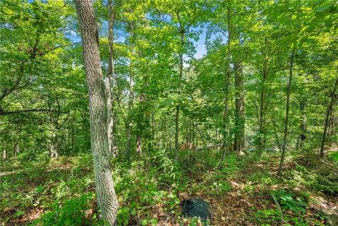 0 Flat Rock Point Dahlonega GA 30533