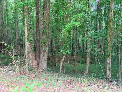 Lot 21 Skidder Way Jasper GA 30143