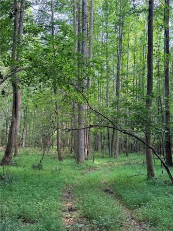 Lot 21 Skidder Way Jasper GA 30143