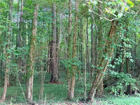 Lot 21 Skidder Way Jasper GA 30143