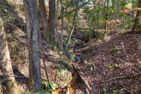 1 Raven Ridge Road Clayton GA 30525