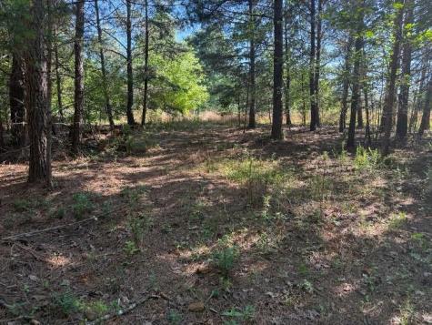 0 Pinetree Way Dahlonega GA 30533