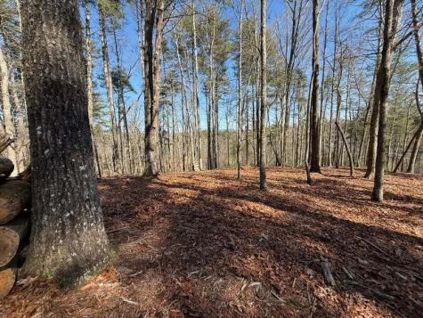 120R Red Oak Trail Ellijay GA 30540