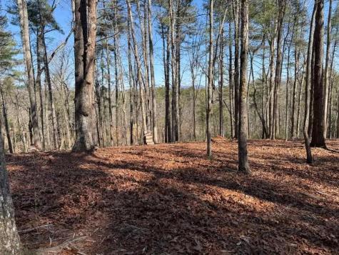 120R Red Oak Trail Ellijay GA 30540
