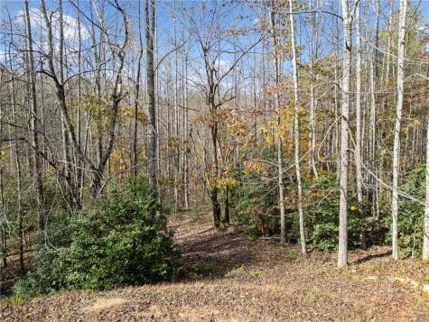 Lt 7 Highpoint Ridge Road Ellijay GA 30536