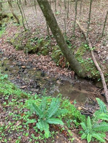 00 Crest View Drive Dahlonega GA 30533