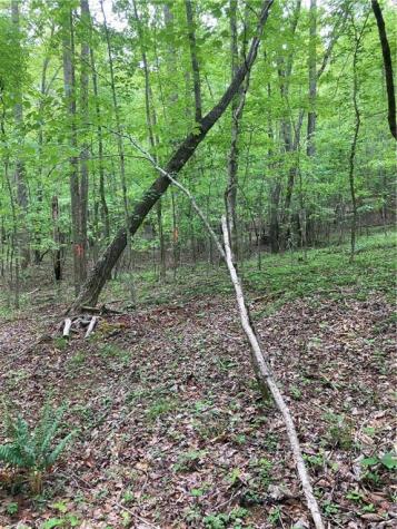 00 Crest View Drive Dahlonega GA 30533