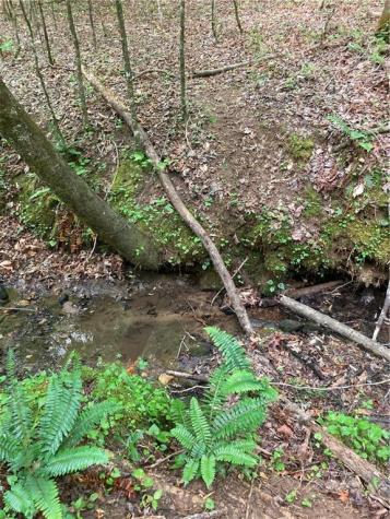 00 Crest View Drive Dahlonega GA 30533