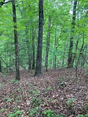 00 Crest View Drive Dahlonega GA 30533