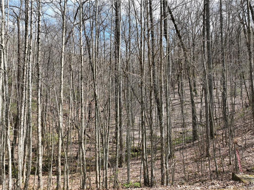 64 St Andrews Way Ellijay GA 30536
