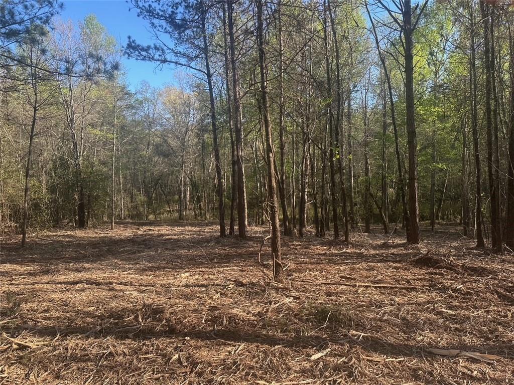 00 Lee Mashburn Road Dahlonega GA 30533