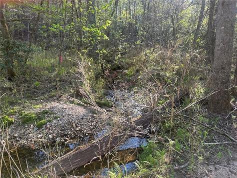 00 Lee Mashburn Road Dahlonega GA 30533