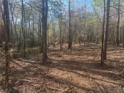 00 Lee Mashburn Road Dahlonega GA 30533