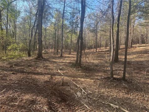 00 Lee Mashburn Road Dahlonega GA 30533