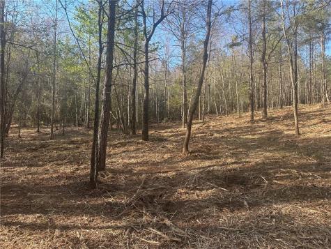 00 Lee Mashburn Road Dahlonega GA 30533