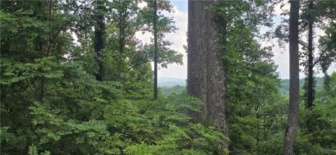 001 Windning Ridge Blairsville GA 30512