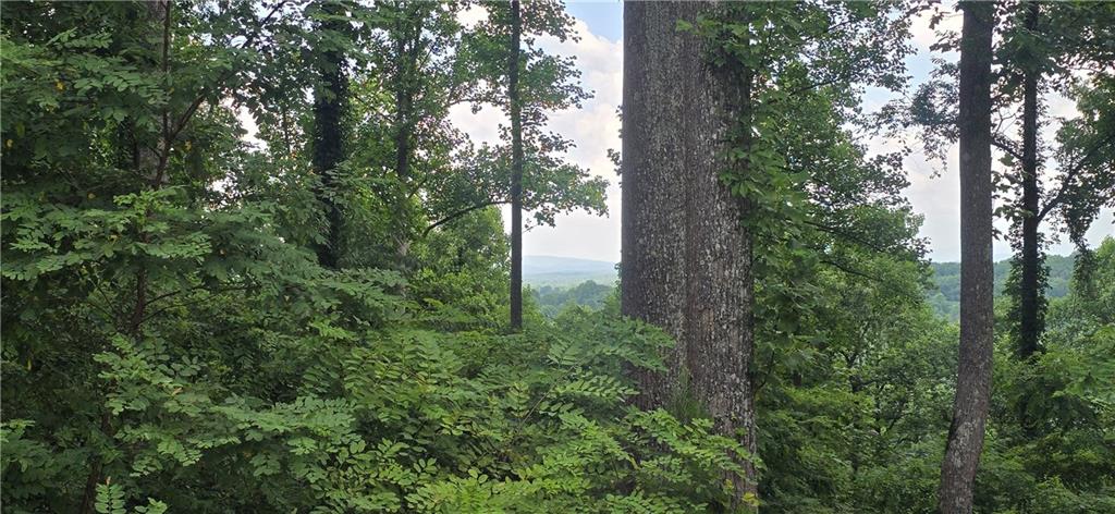 001 Windning Ridge Blairsville GA 30512
