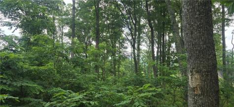 001 Windning Ridge Blairsville GA 30512