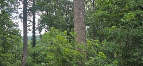 001 Windning Ridge Blairsville GA 30512